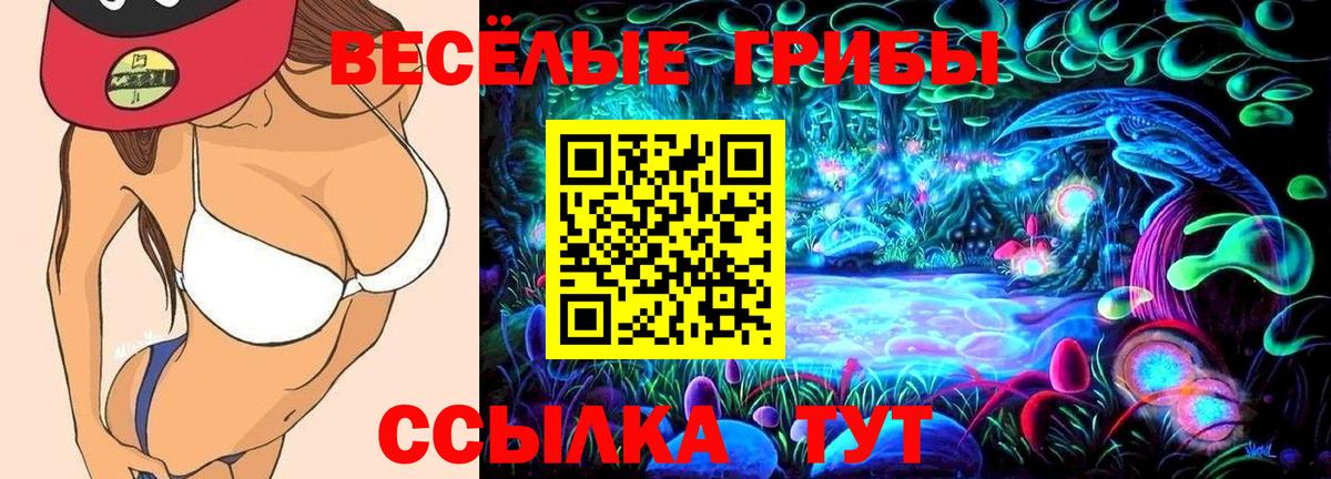 Псилоцибиновые грибы Magic Shrooms  Вход с VPN  Алапаевск 